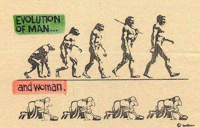 Еволюція людства і не тільки (40 фото)