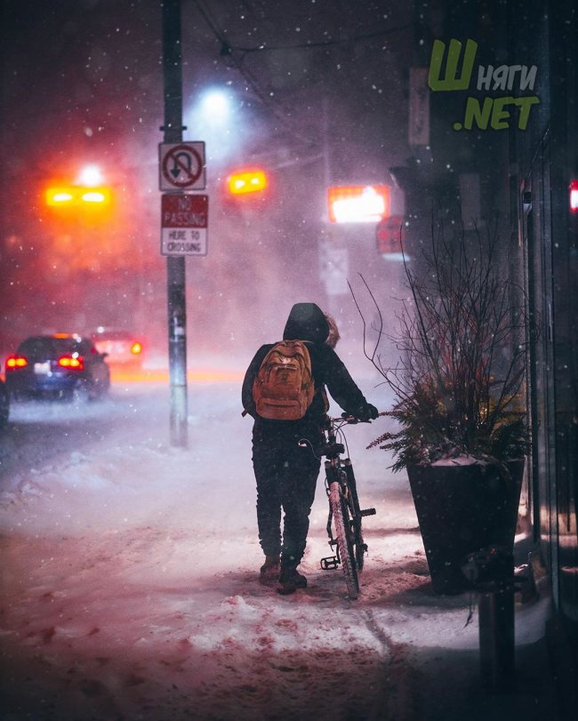 Зима в Торонто торонто, канада