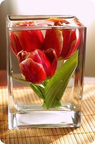 Как сохранить цветы при помощи глицерина Глицерин + коньяк + репейное масло
