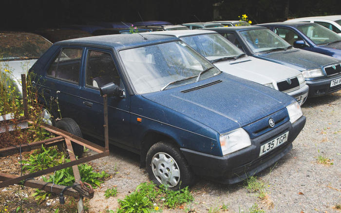 Британец за 10 лет собрал 70 автомобилей Skoda: причина такого поступка заставит задуматься автомобили
