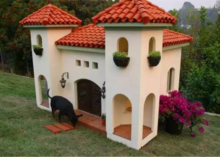 Роскошные жилища домашних питомцев, которые могли для них сделать только по-настоящему любящие владельцы домашние животные