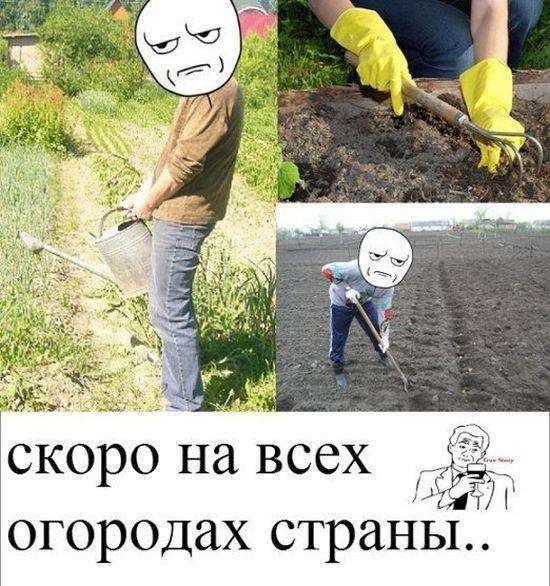 Комікси (24 картинки)