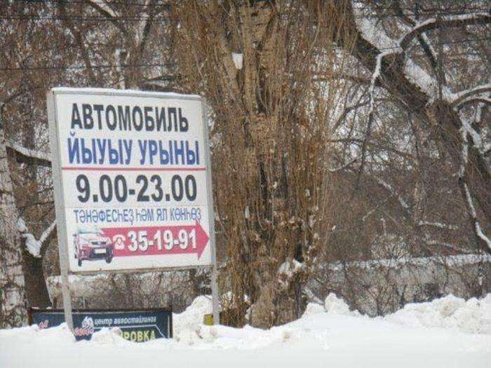 Свіжа добірка маразмів (51 фото)