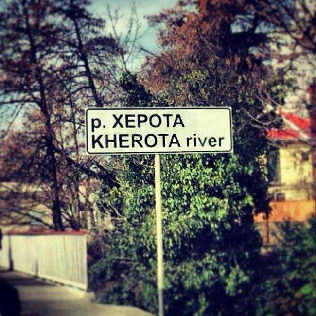 Свіжа добірка маразмів (51 фото)
