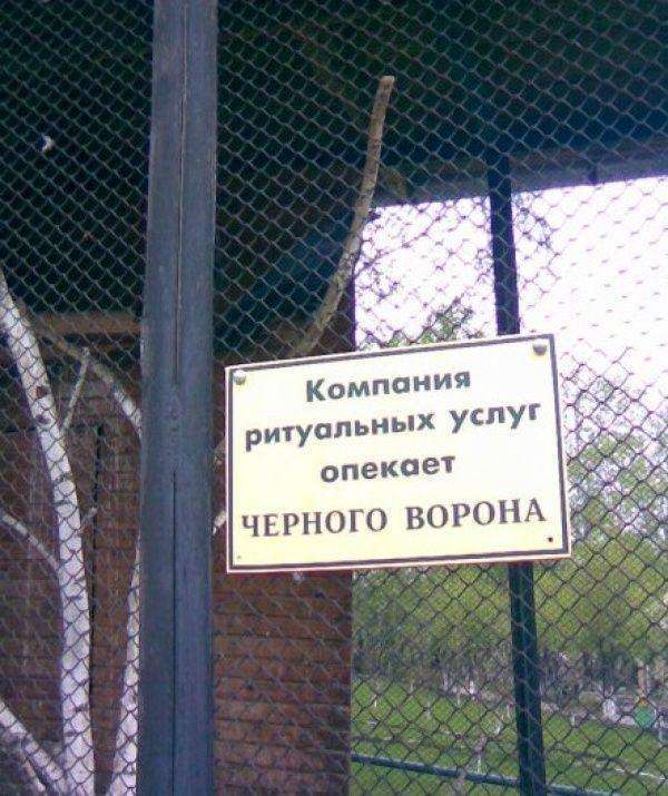 Свіжа добірка маразмів (51 фото)