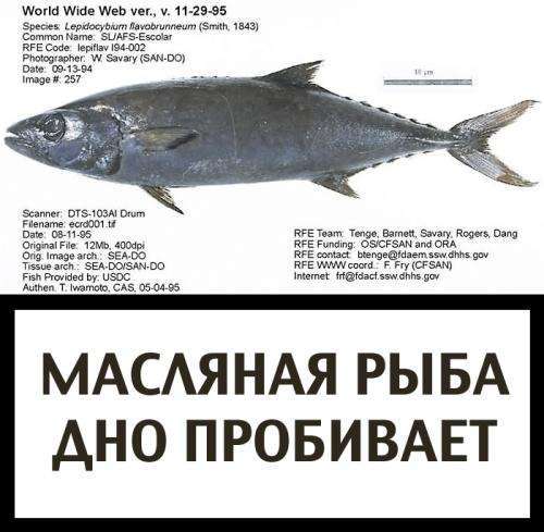 Попередження (40 фото)