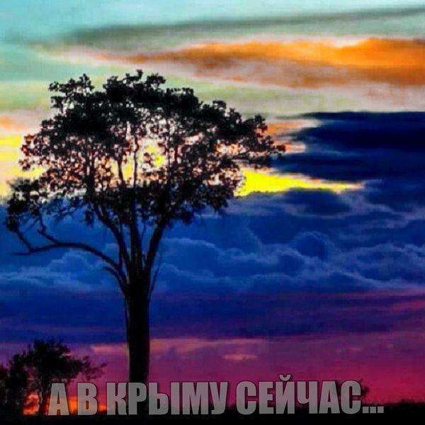 Події в Криму. Трохи несерйозно (45 фото)