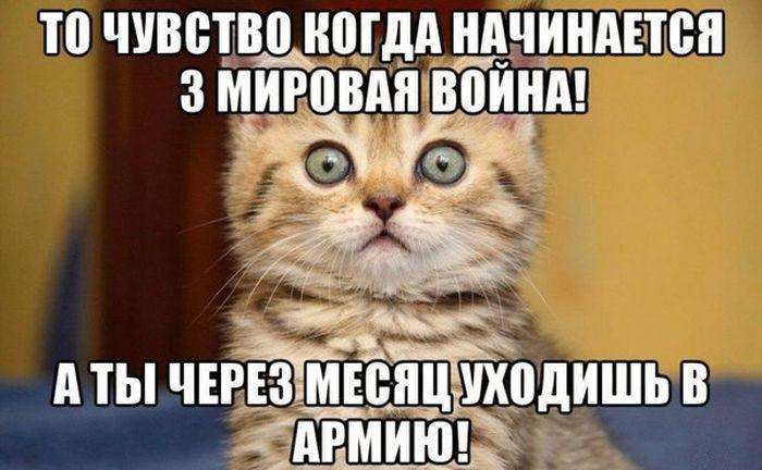 Події в Криму. Трохи несерйозно (45 фото)