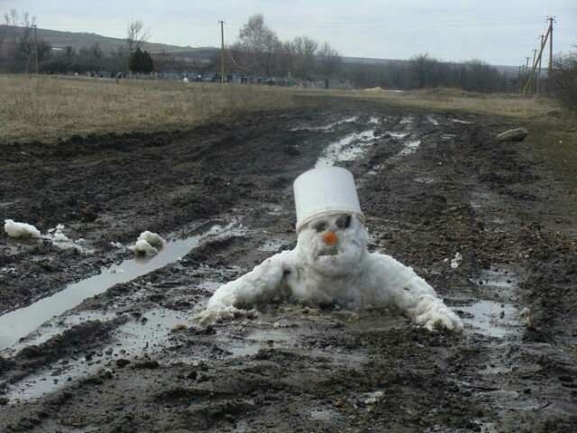 То ли смех, то ли слёзы   юмор