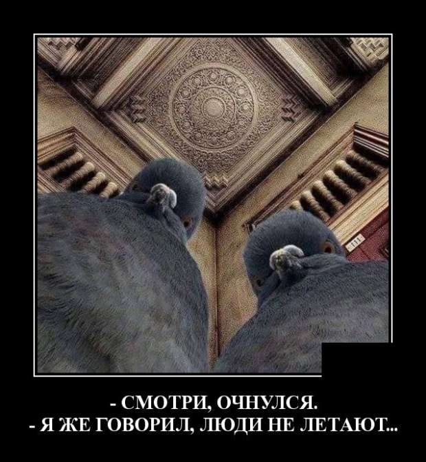 Ну, как прошли выходные? анекдоты