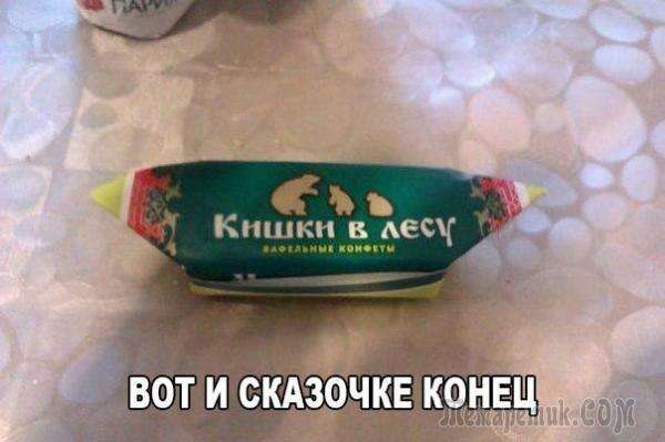 Кто не курит и не пьёт — по домам всех развезёт анекдоты