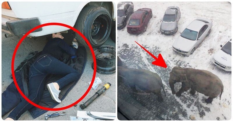 И тут я понял, что мне все равно никто не поверит 