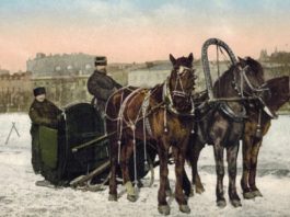 Гульвіса Москва на трійках