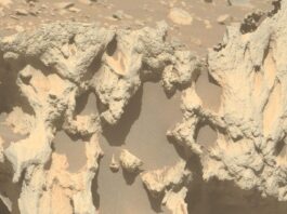 Марсохід Perseverance виявив потенційний метеорит на Марсі