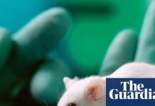 Великобританія має намір скоротити тестування на тваринах за допомогою штучного інтелекту та 3D біодруку