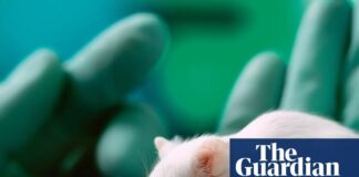 Великобританія має намір скоротити тестування на тваринах за допомогою штучного інтелекту та 3D біодруку