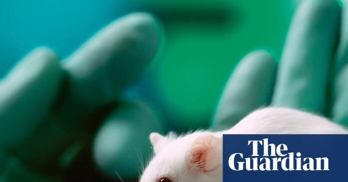 45a55f59-64f3-4baa-a25b-91a291fb85fc