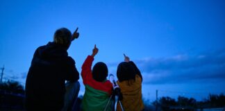 Thankful Night Firmament 2025: райська насолода після святкової вечері