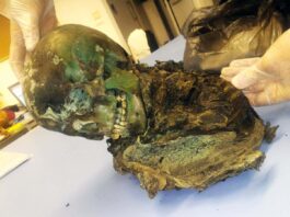Тело мальчика мумифицировали и озеленили медным гробом