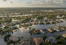 Зміна клімату: чому особистий досвід спонукає до дій