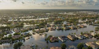 Зміна клімату: чому особистий досвід спонукає до дій