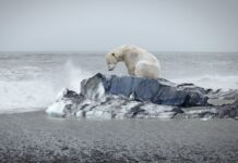 Кінець світу на лезі ножа: чи можемо ми уникнути кліматичних переломних моментів?