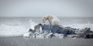 Кінець світу на лезі ножа: чи можемо ми уникнути кліматичних переломних моментів?
