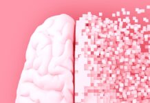 Підвищення рівня білка усуває когнітивні порушення в мишачих моделях хвороби Альцгеймера