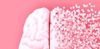 Підвищення рівня білка усуває когнітивні порушення в мишачих моделях хвороби Альцгеймера