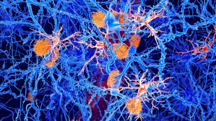 cb454361-5ca2-4d70-9f31-d1504f786b35