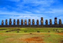 Полінезійські щури та вирубка лісів на острові Пасхи: збалансований погляд