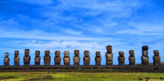 Полінезійські щури та вирубка лісів на острові Пасхи: збалансований погляд