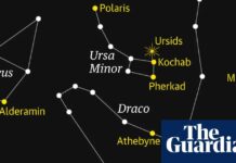 Урсиди: скромне небесне видовище