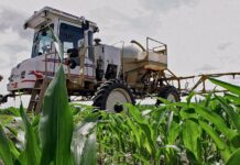 Позови проти Раундапу розглядаються Верховним судом, викликаючи політичне протистояння