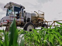 Позови проти Раундапу розглядаються Верховним судом, викликаючи політичне протистояння