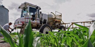 Позови проти Раундапу розглядаються Верховним судом, викликаючи політичне протистояння