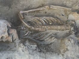 Елітні воїни виявлені в Угорщині: 1100-річна гробниця розкриває династію воїнів