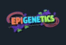 Епігенетика: світський прорив у розумінні життя