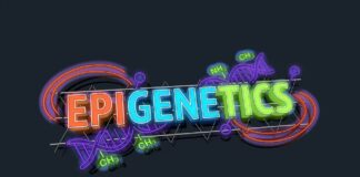 Епігенетика: світський прорив у розумінні життя