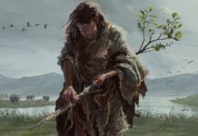 430 000-річних дерев’яних інструментів переосмислюють перші людські технології