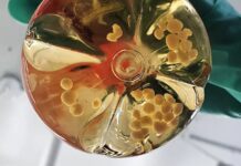 Вирощений у лабораторії мозок отримує життєво важливі покращення: функціональні кровоносні судини