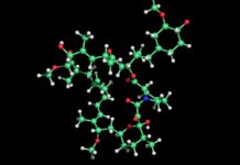 Рапаміцин та Обмеження Калорій: Довголіття Залишається Невизначеним