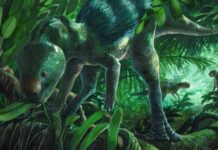 Крихітний динозавр переписує історію еволюції: Foskeia pelendonum виявлено в Іспанії