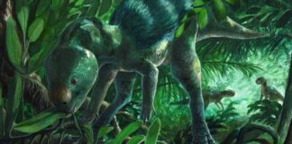 Крихітний динозавр переписує історію еволюції: Foskeia pelendonum виявлено в Іспанії