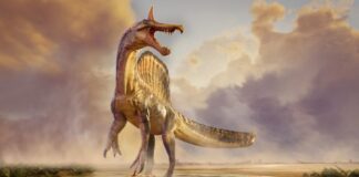 Новий вид спинозавра виявлено в Нігері