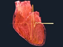 Оземпік та Вегови можуть покращити відновлення після серцевого нападу, відновлюючи кровотік