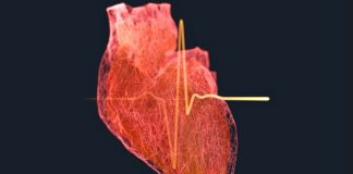 Ozempic i Vegovi mogą poprawić regenerację po zawale serca poprzez przywrócenie przepływu krwi
