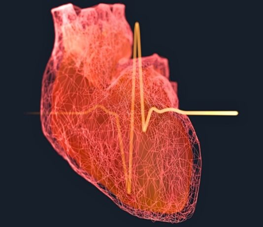 Оземпік та Вегови можуть покращити відновлення після серцевого нападу, відновлюючи кровотік