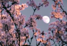 Квітень 2026: путівник по нічному небу: комети, метеори та планетарні вирівнювання