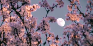 Квітень 2026: путівник по нічному небу: комети, метеори та планетарні вирівнювання